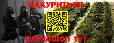 стафф Бузулук