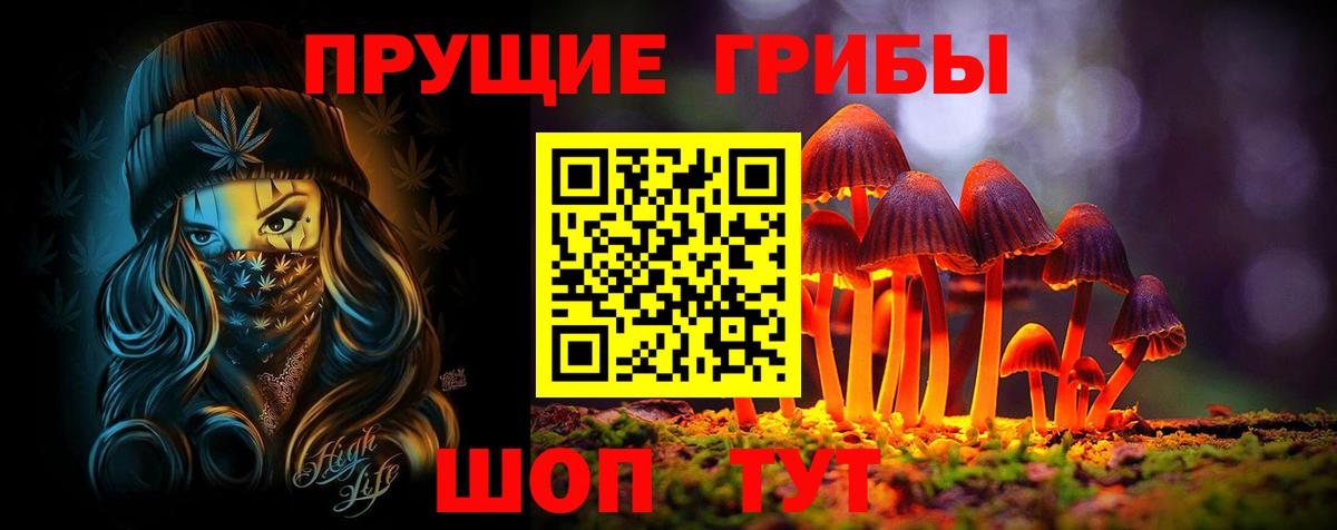 Псилоцибиновые грибы Psilocybe  Вход с VPN  Киреевск 