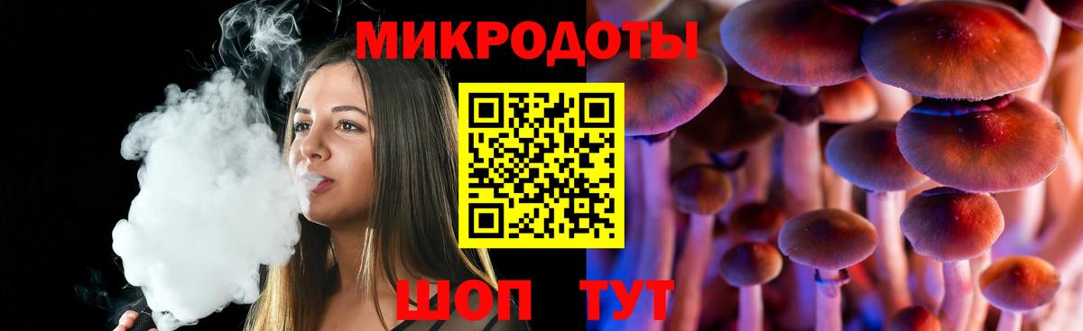 Псилоцибиновые грибы Psilocybe Киреевск
